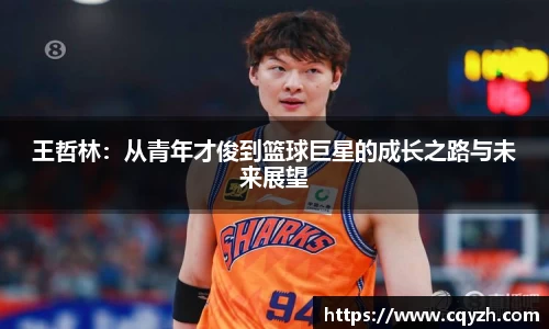 王哲林：从青年才俊到篮球巨星的成长之路与未来展望